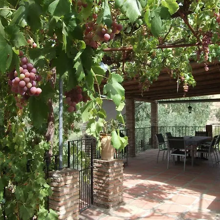 El Olivo Comares