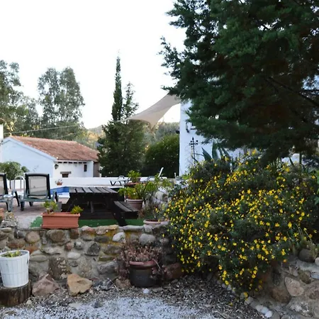 El Olivo * Comares