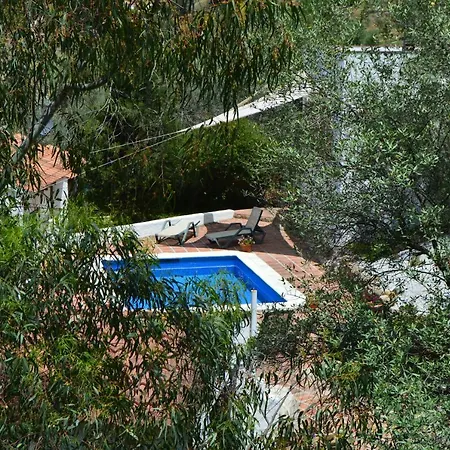 El Olivo